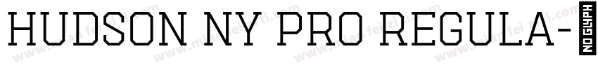 Hudson NY Pro Regula字体转换
